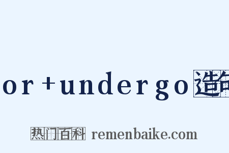 or+undergo造句是什么意思的图片
